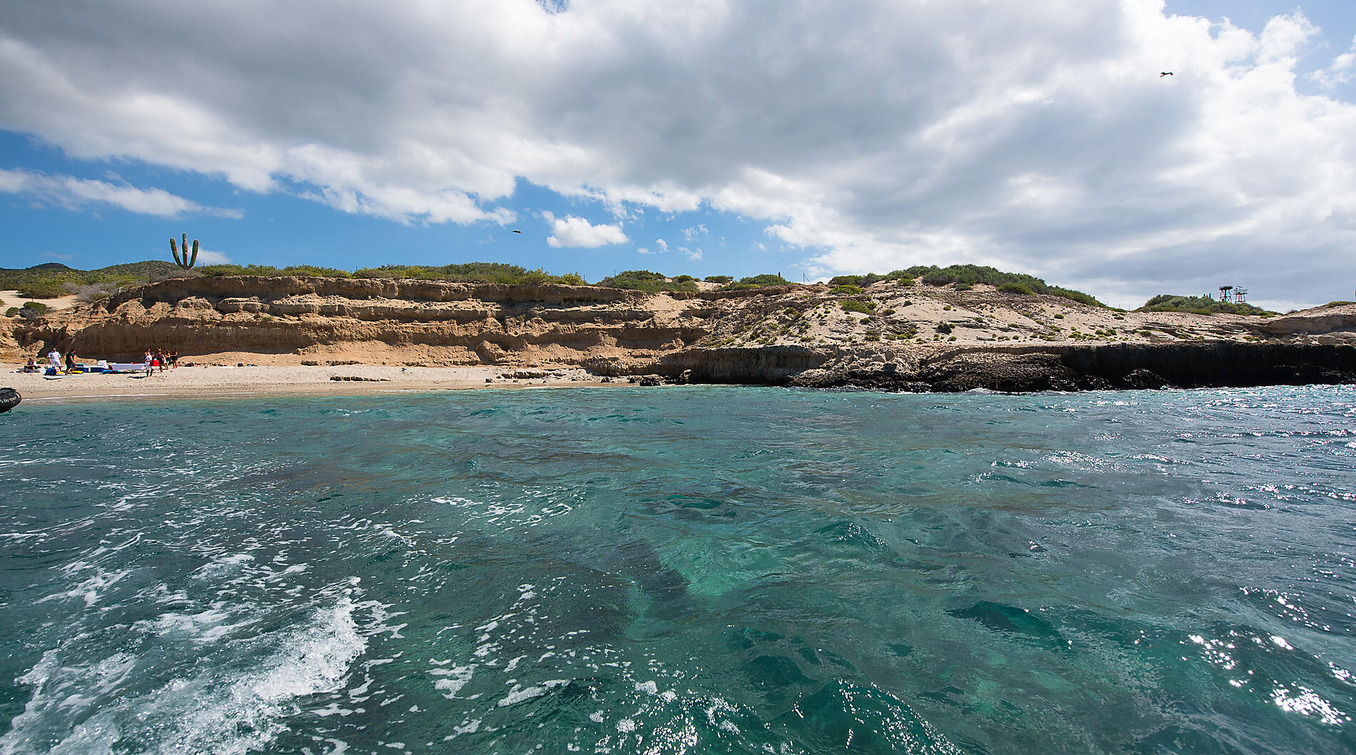 72_S091018_Cerralvo_Mexique©StudioPONANT-Olivier Blaud.jpg