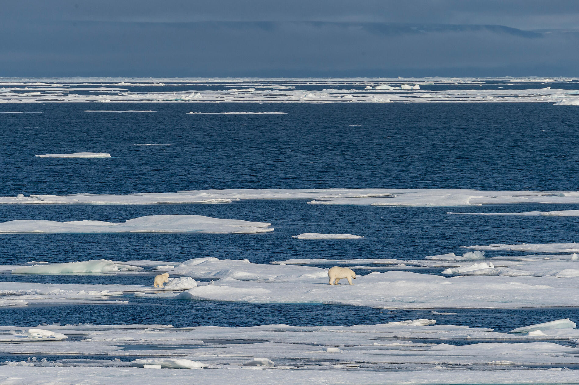 Best of-343_B200818_Kangerlussuaq-Nome©StudioPONANT-Laurence Fischer.jpg