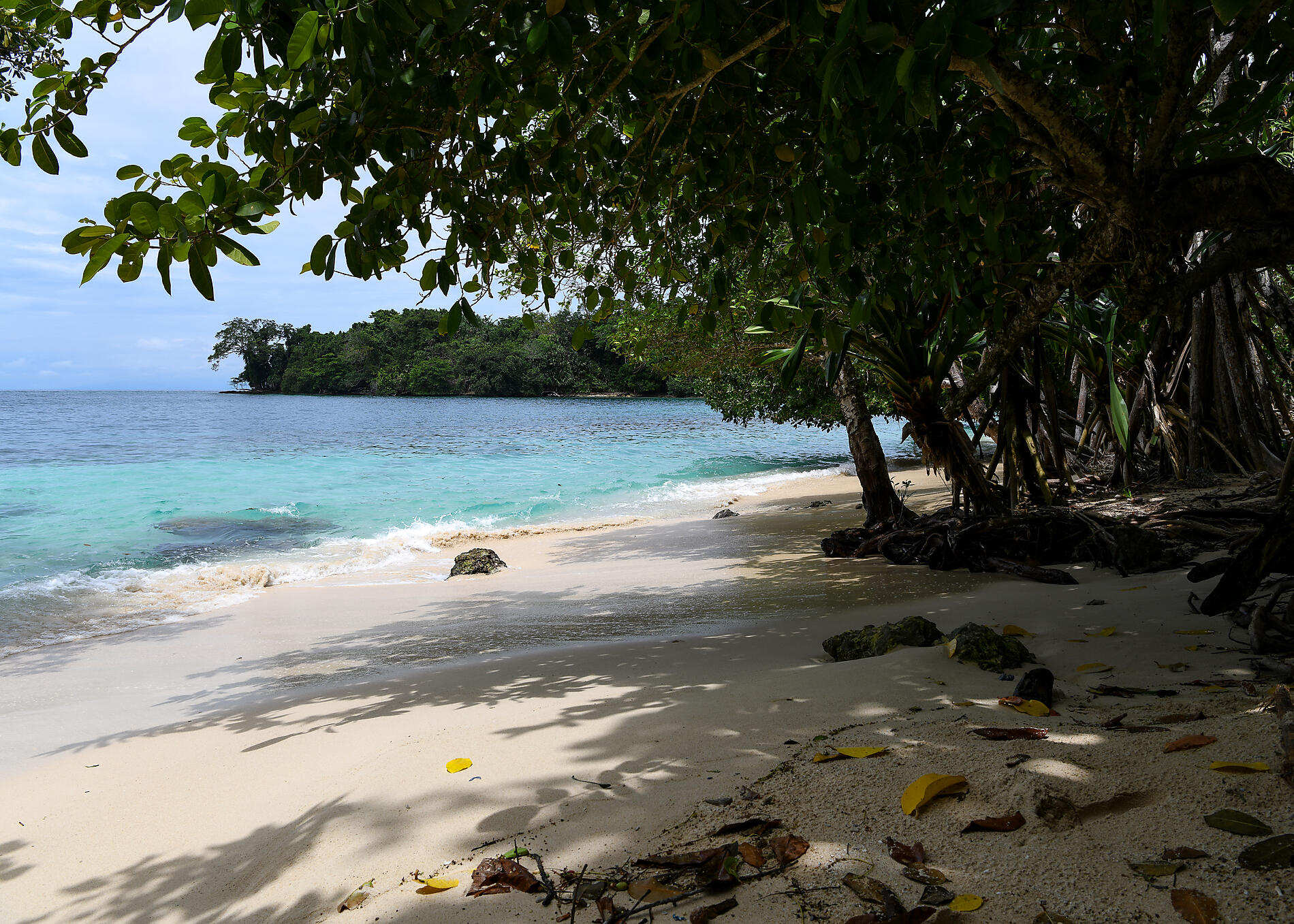 N°-1235_R100223_Cairns-Cairns©StudioPONANT-Laure Patricot.jpg