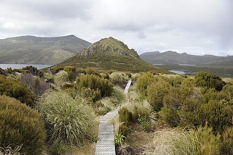 7. Jan 27 - Campbell Island