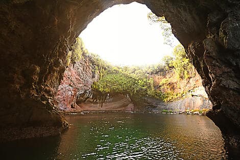 2. Jan 27 - Musgrave Inlet, Aucklandinseln
