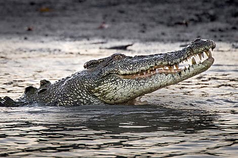 22. Nov 25 - Darwin