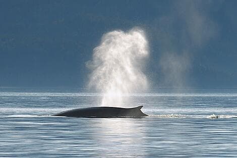 10. Aug 26 - Kreuzen auf dem Sankt-Lorenz-Strom und Fahrt durch seine Schleusen