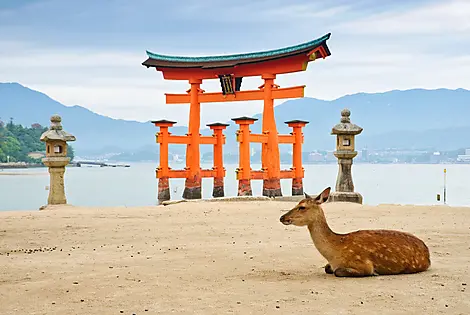 7. Mai 27 - Insel Miyajima