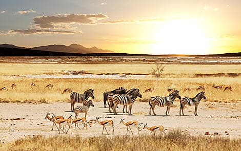 19. Feb 27 > 20. Feb 27 - Richards Bay