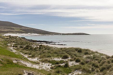 13. Mär 28 > 14. Mär 28 - Carcass Island