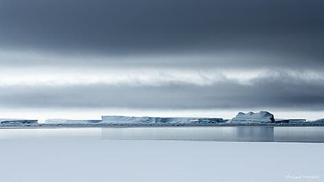 9. Jan 26 - Bellingshausensee