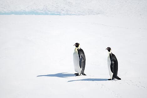 1. Mär 27 - Entdeckung des Weddell-Meers