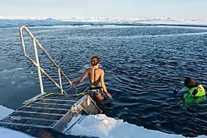 Polarsprung