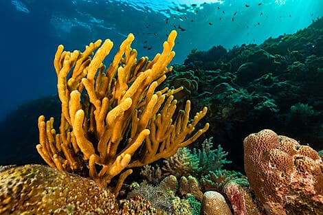 23. Jun 26 - Barat-Daya-Inseln