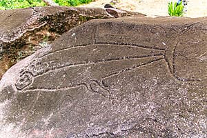Omoa petroglyphs walk