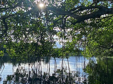 12. Jan 26 - La Ensenada