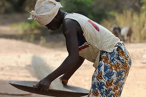 14. Jan 26 - Canhabaque, Bijagos