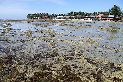 16. Jan 26 - Pulau Nias, Grosse Sundainseln