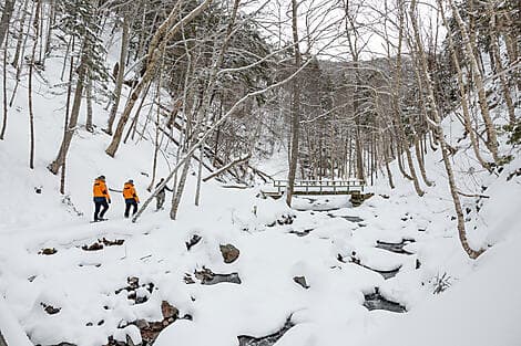 21. Feb 27 - Corner Brook