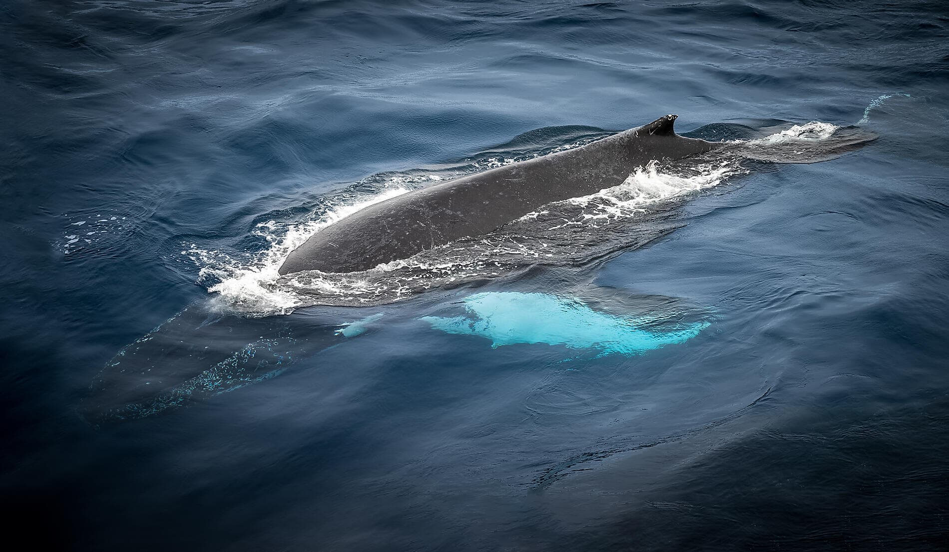 Islands Mosaiklandschaften