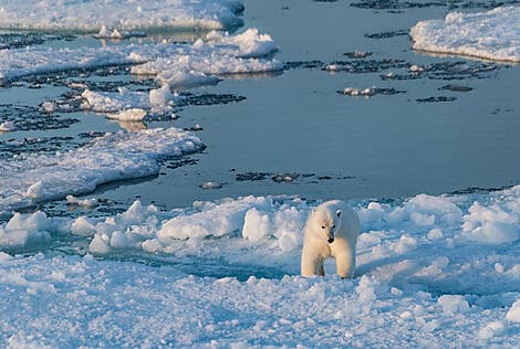 10. Sep 26 - Coningham Bay, Nunavut