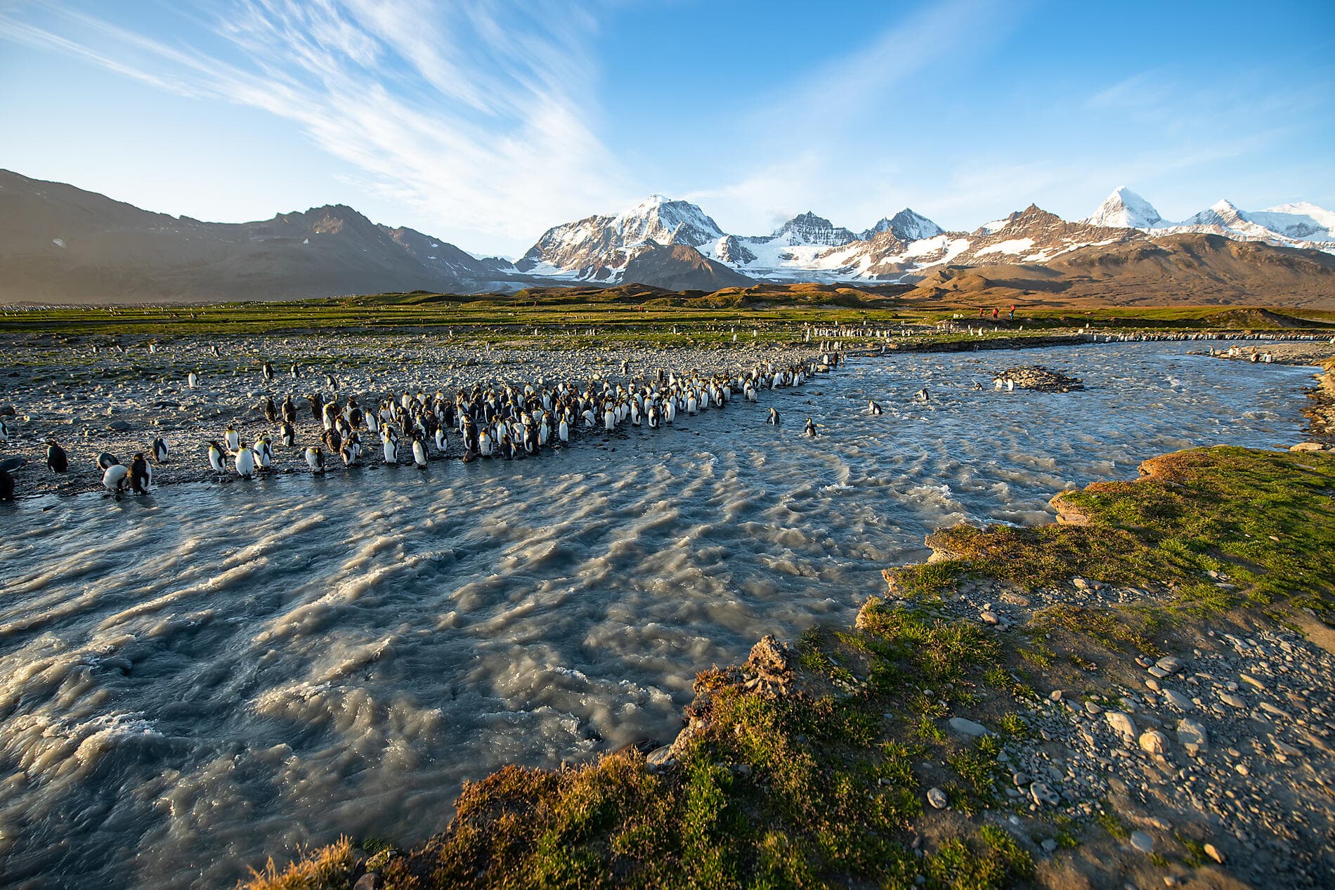 Antarktis, Falklandinseln & Südgeorgien