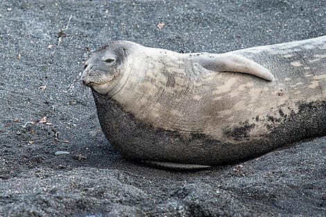 8. Mär 26 > 9. Mär 26 - Französischen Süd- und Antarktisgebiete