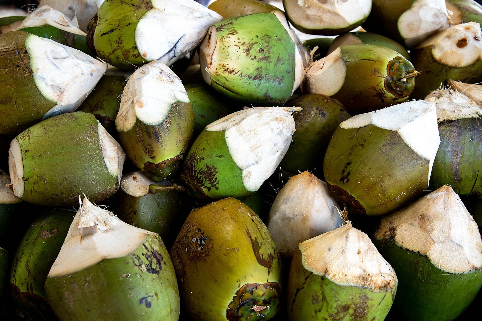 Sansibar, Aldabra und Schätze des Indischen Ozeans