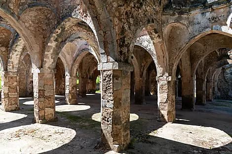 11. Feb 26 - Kilwa Kisiwani