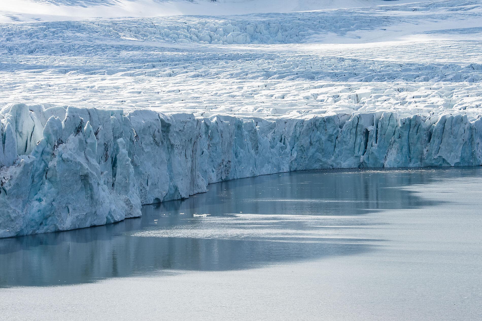 Von Schottland nach Spitzbergen