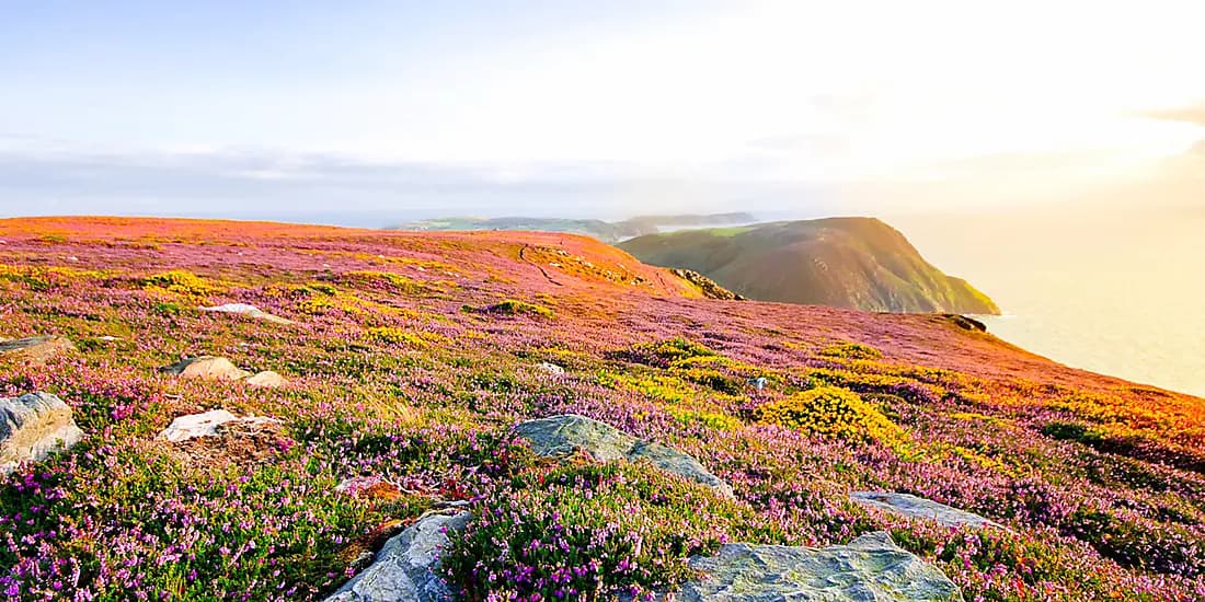 Wunder der keltischen Küsten