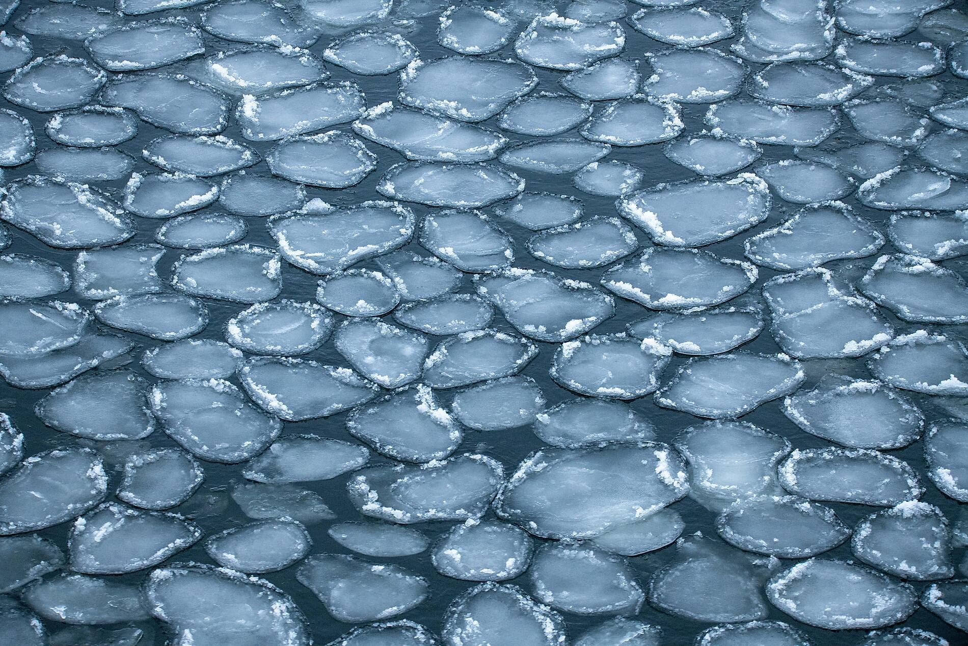 Abenteuer Bottnischer Meerbusen, Kurs gen Norden