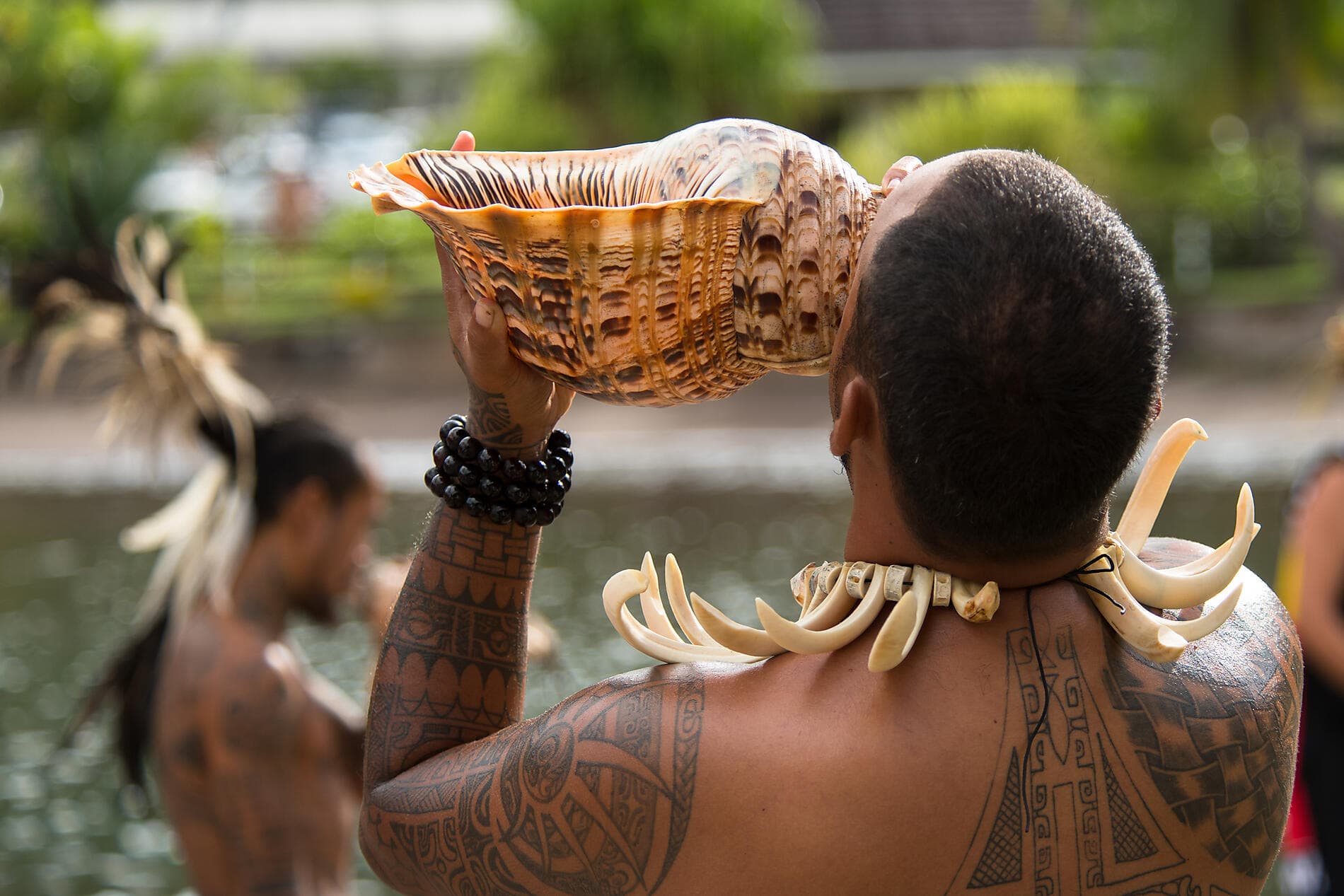 Perlen der Gesellschaftsinseln