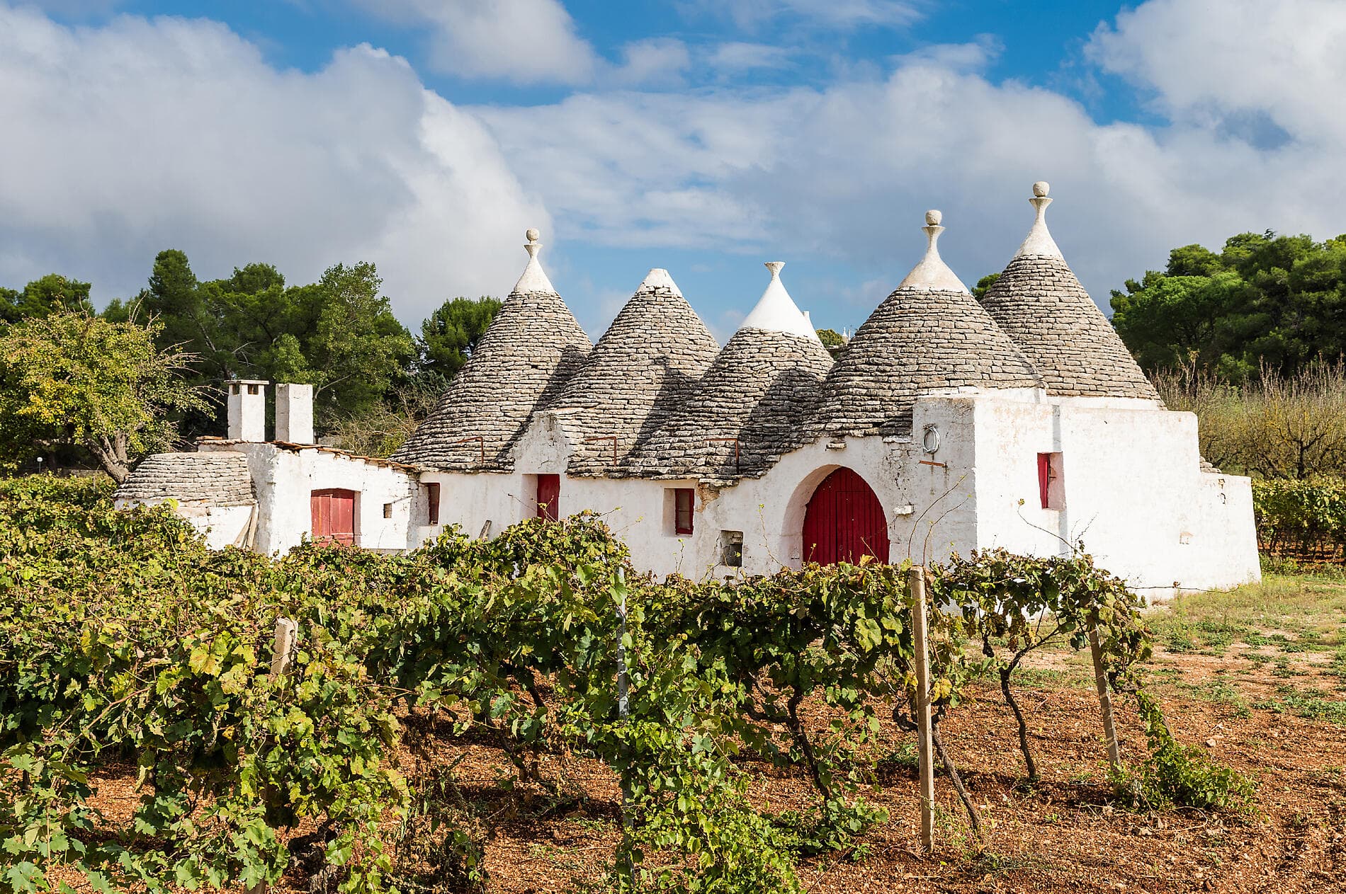 Ein Fest der Kunst mit der 61. Biennale von Venedig