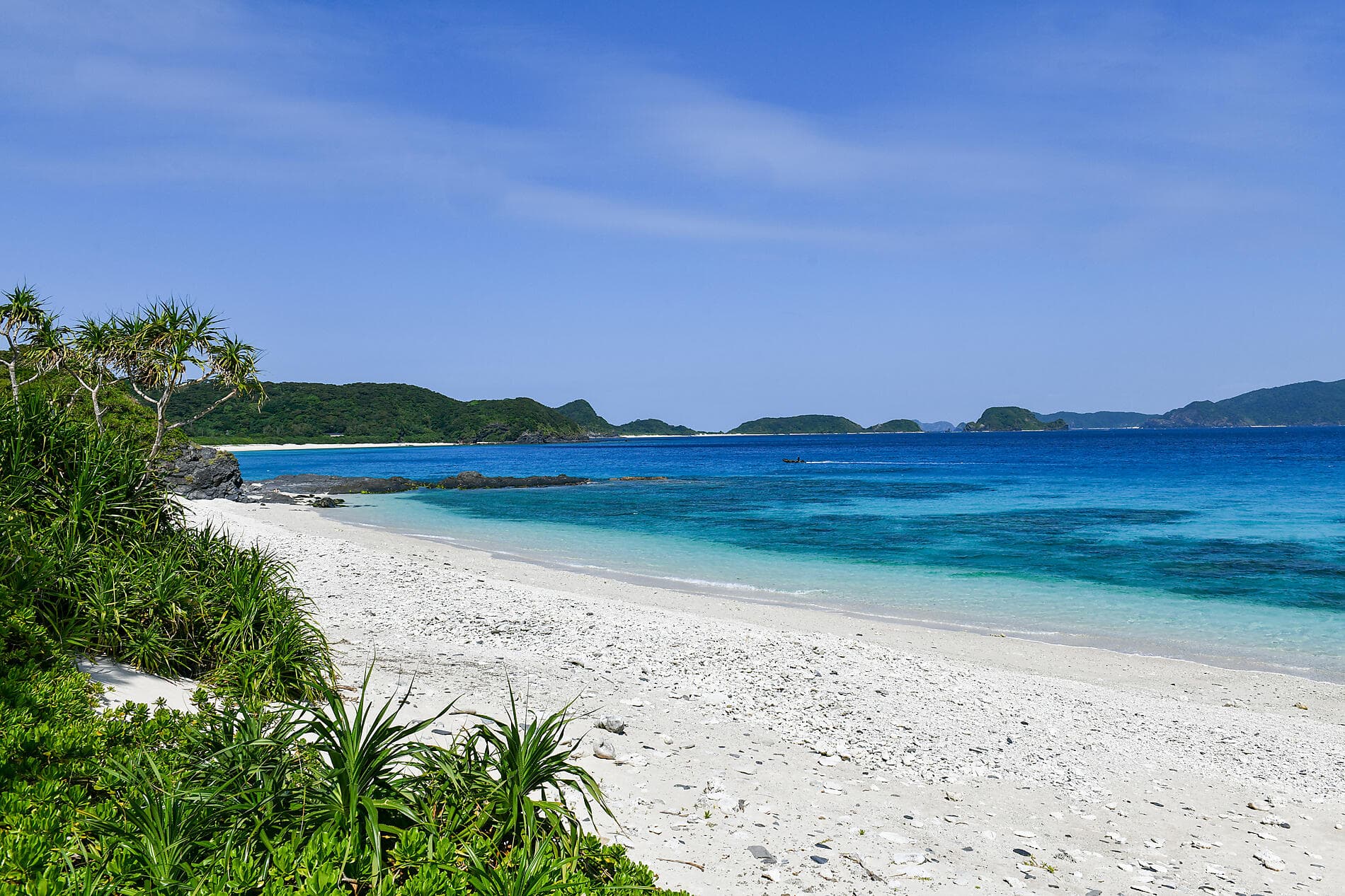 Abenteuer in die subtropischen Inseln Japans 
