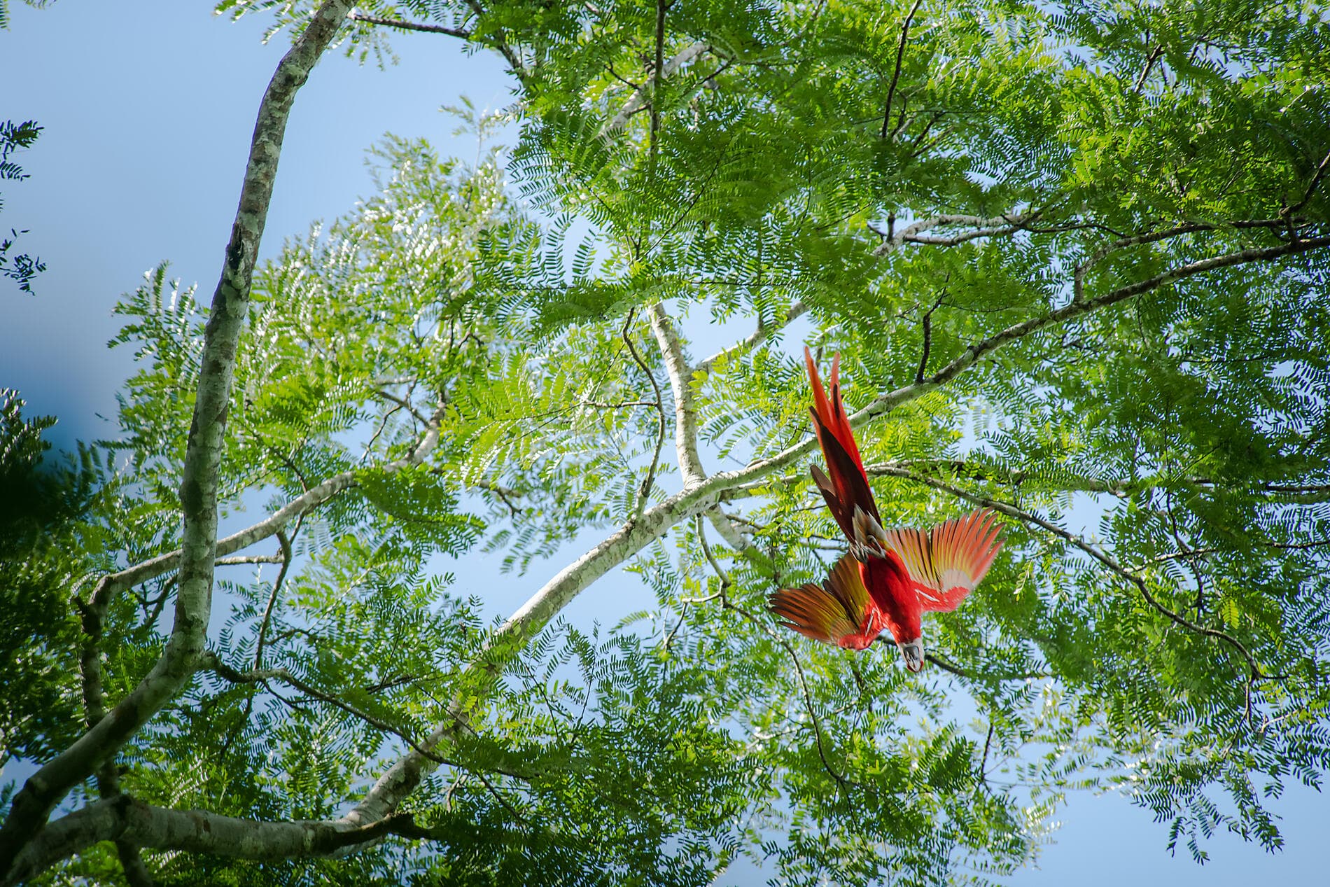 Die Pazifikküste von Costa Rica