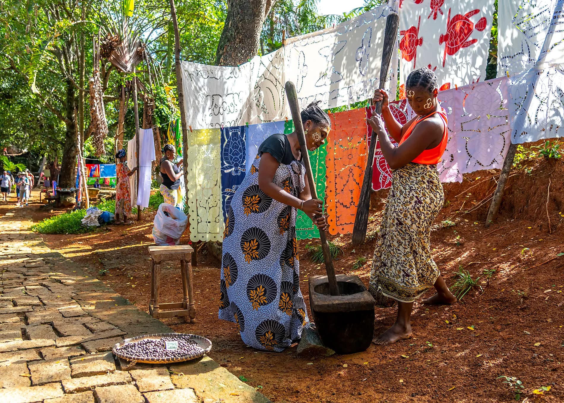 Madagaskar und Südafrika 