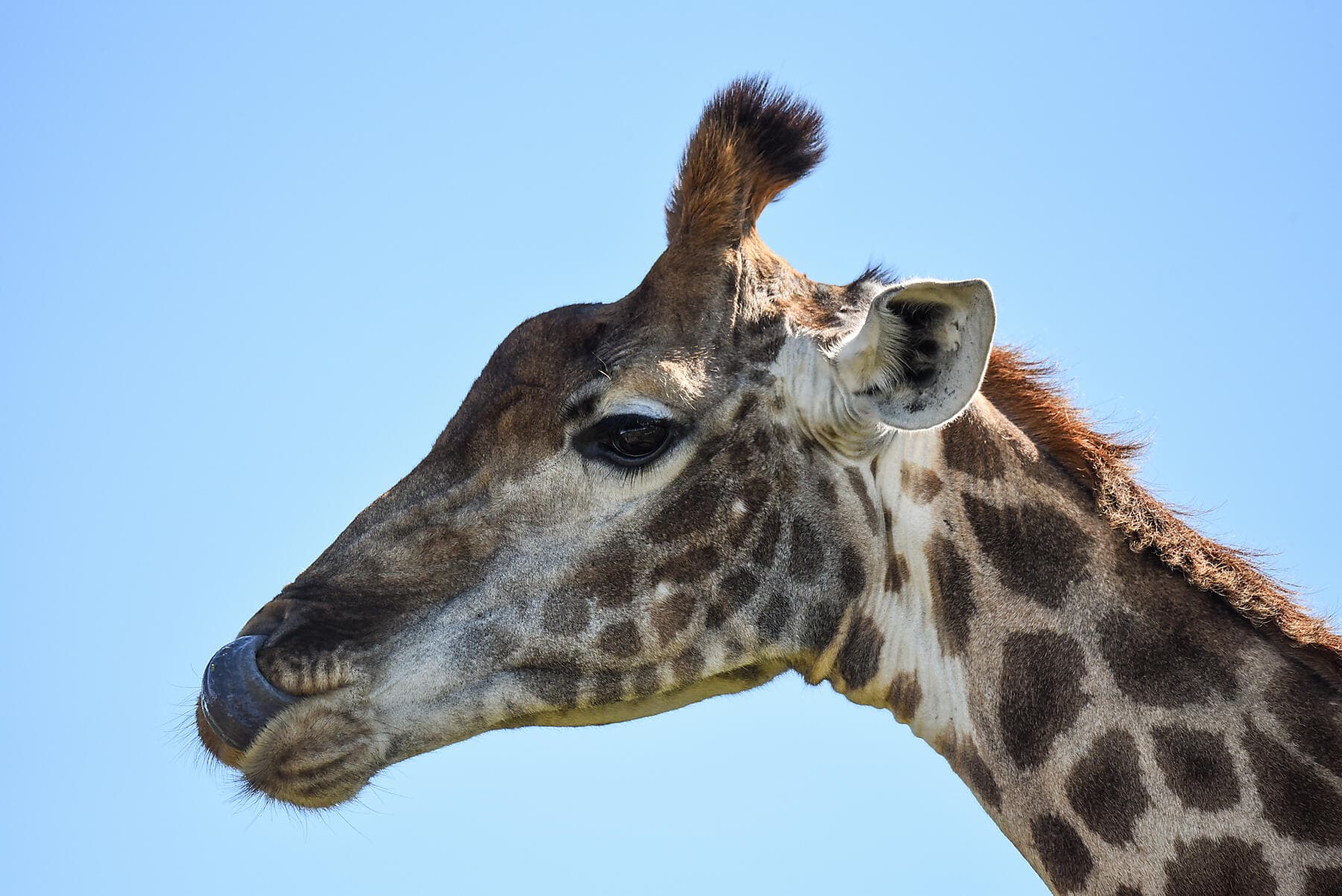 Namibia und Südafrika