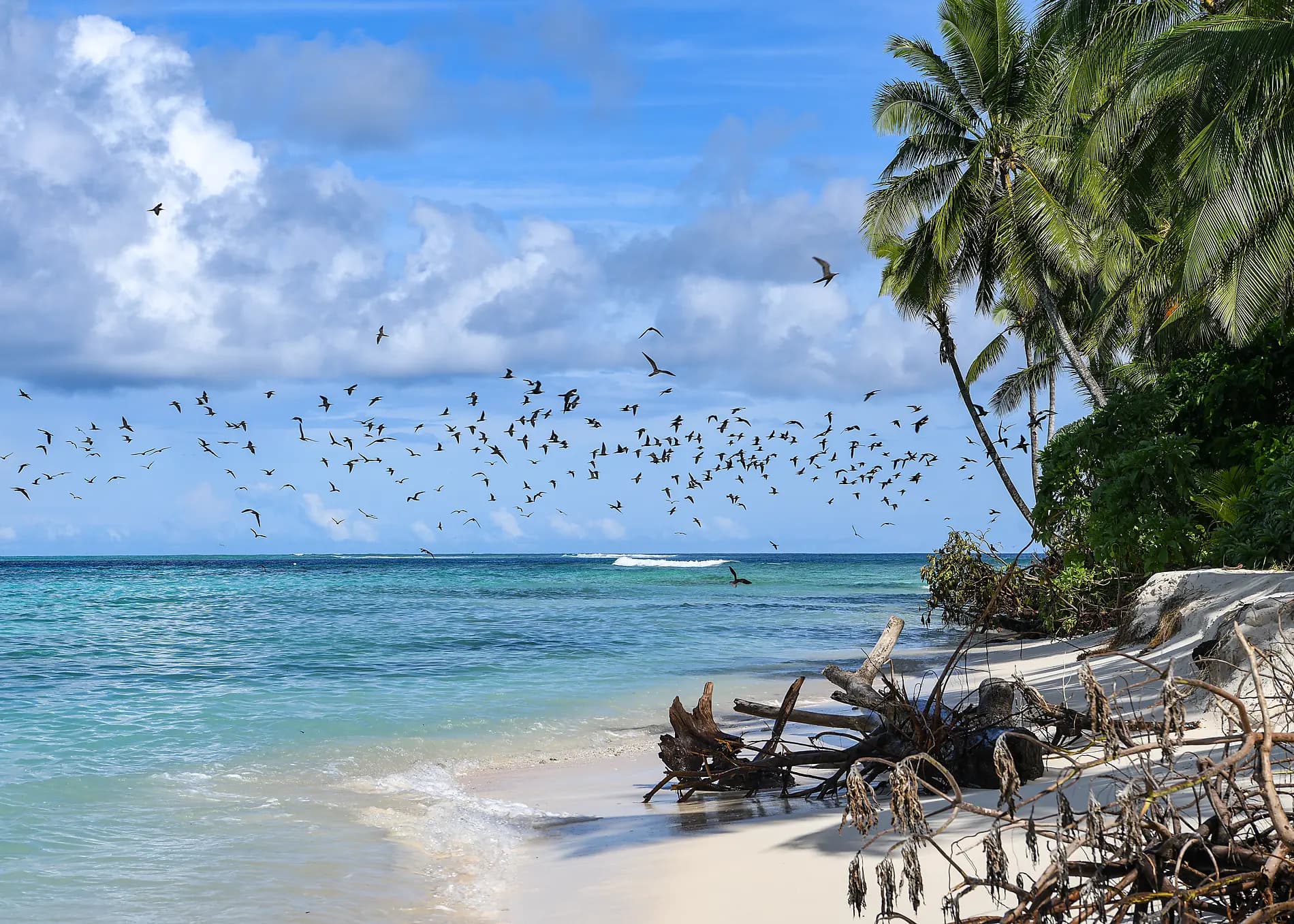 Abenteuer in Neuguinea 