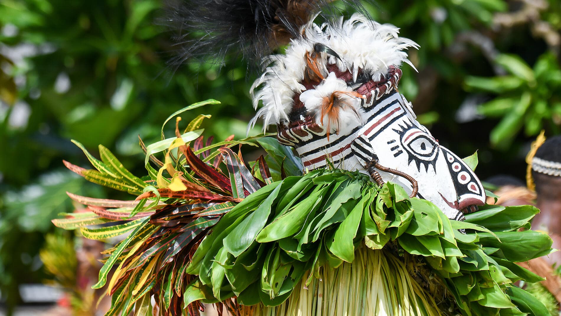 Abenteuer in Neuguinea