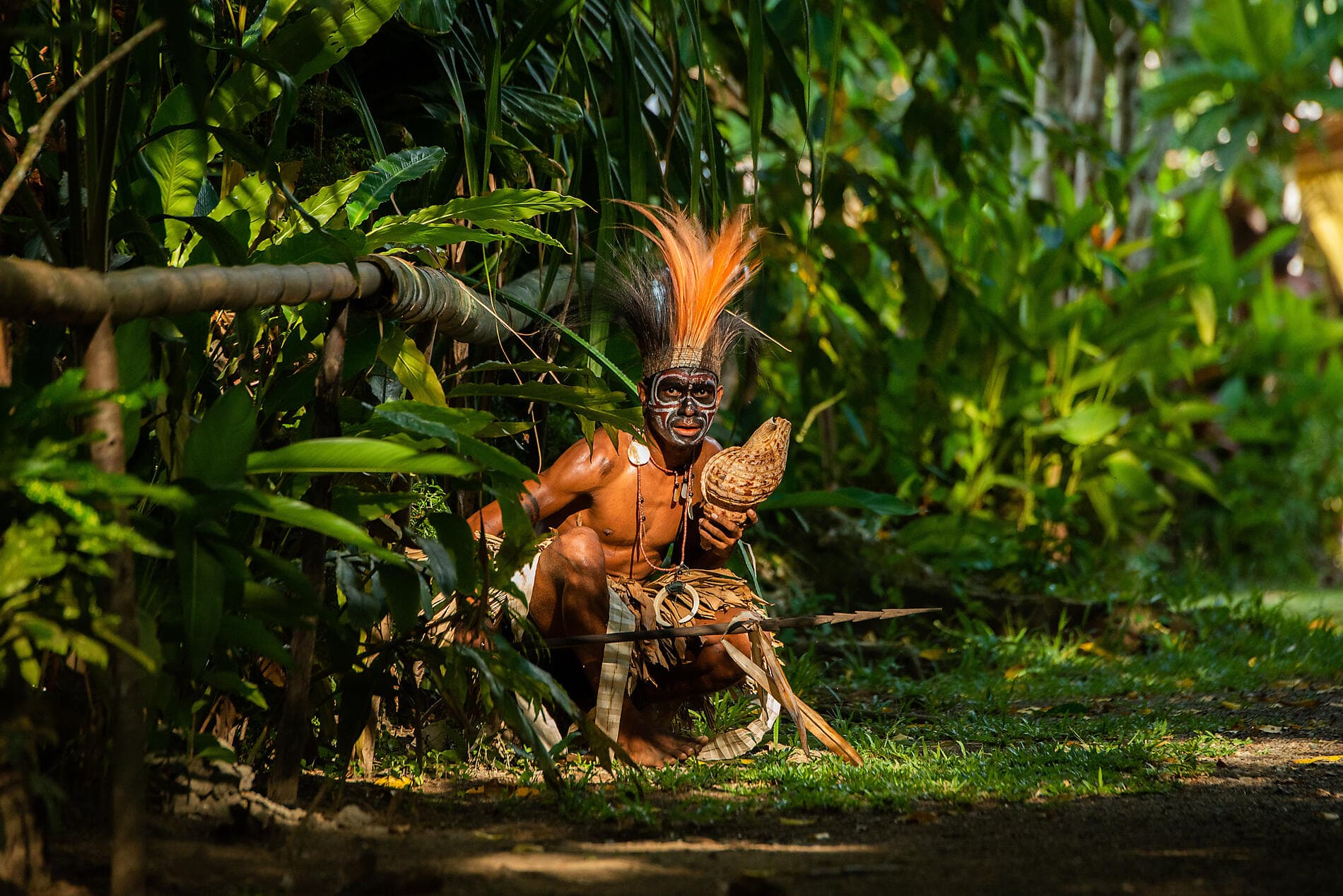 Abenteuer in Neuguinea
