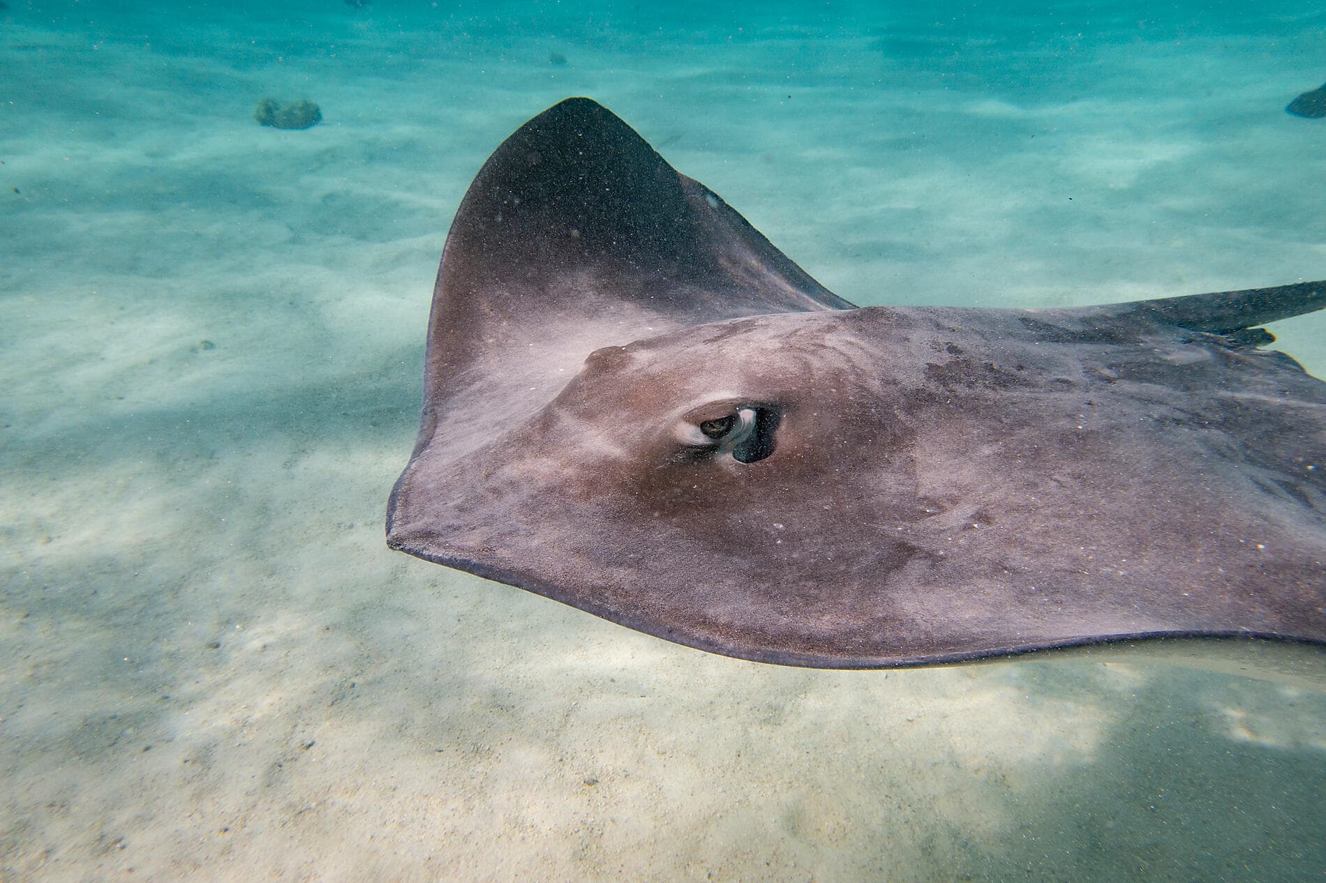 Südsee pur: Marquesas, Tuamotu und Gesellschaftsinseln