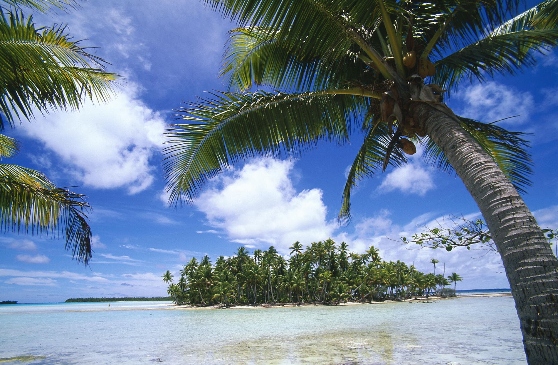 Französisch-Polynesien und die Insel Pitcairn