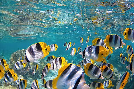 1. Jan 26 - South Friars Bay, Saint-Kitts