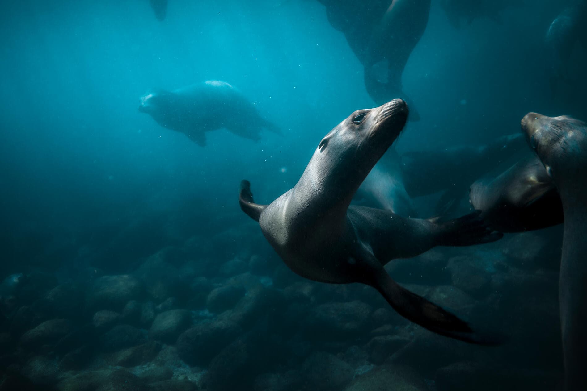 Erkundung im Herzen der Baja California 