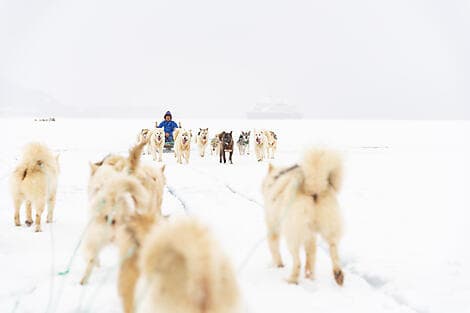 5. Aug 26 - Qeqertarsuaq