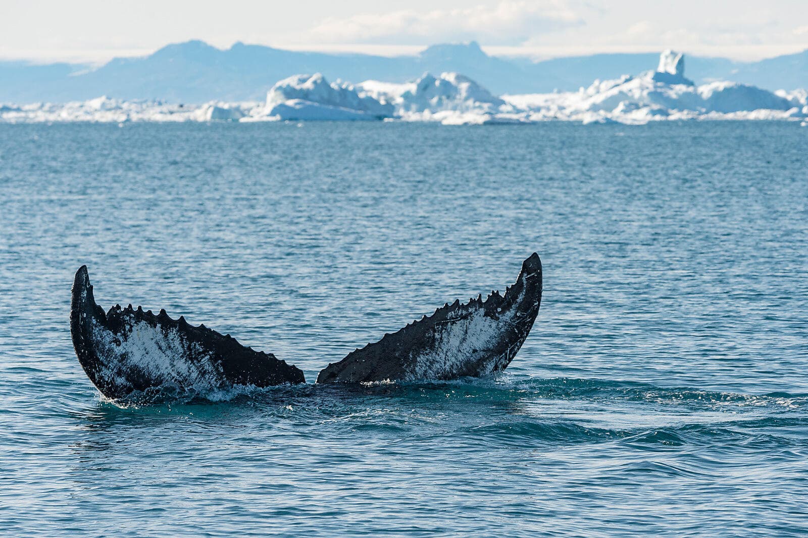 Im Herzen der Nordwest-Passage 