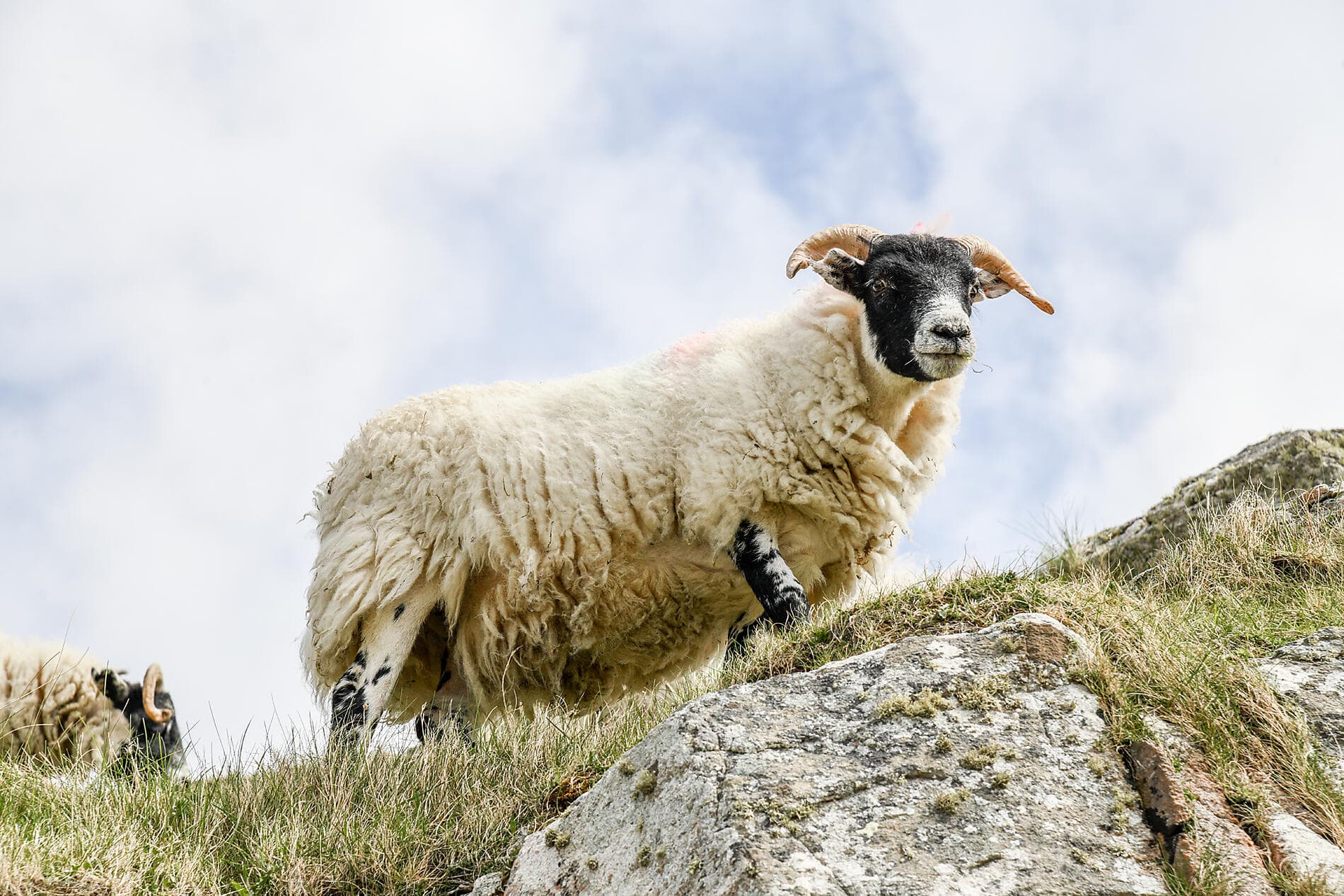 Legendäre Länder und Städte des Nordens