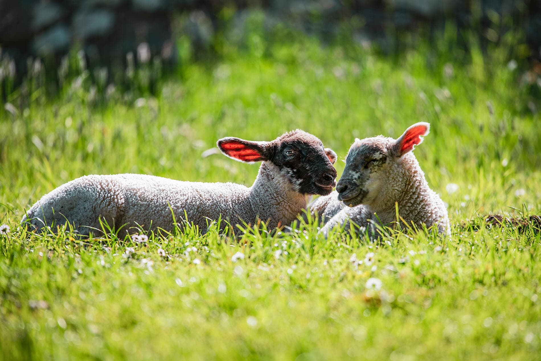 Komplette Umrundung Irlands