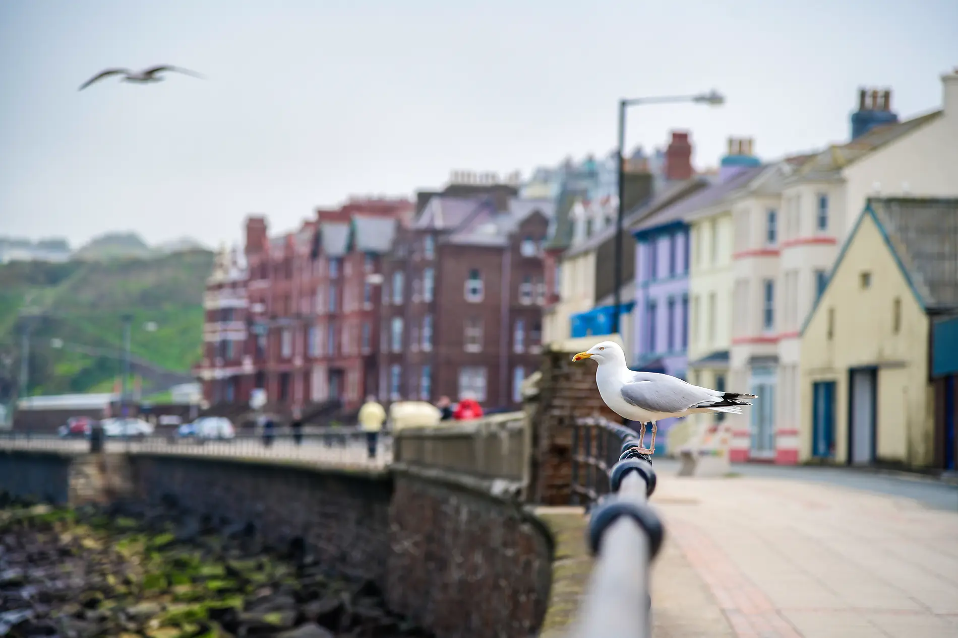 In keltischen Gefilden, von Irland nach Schottland