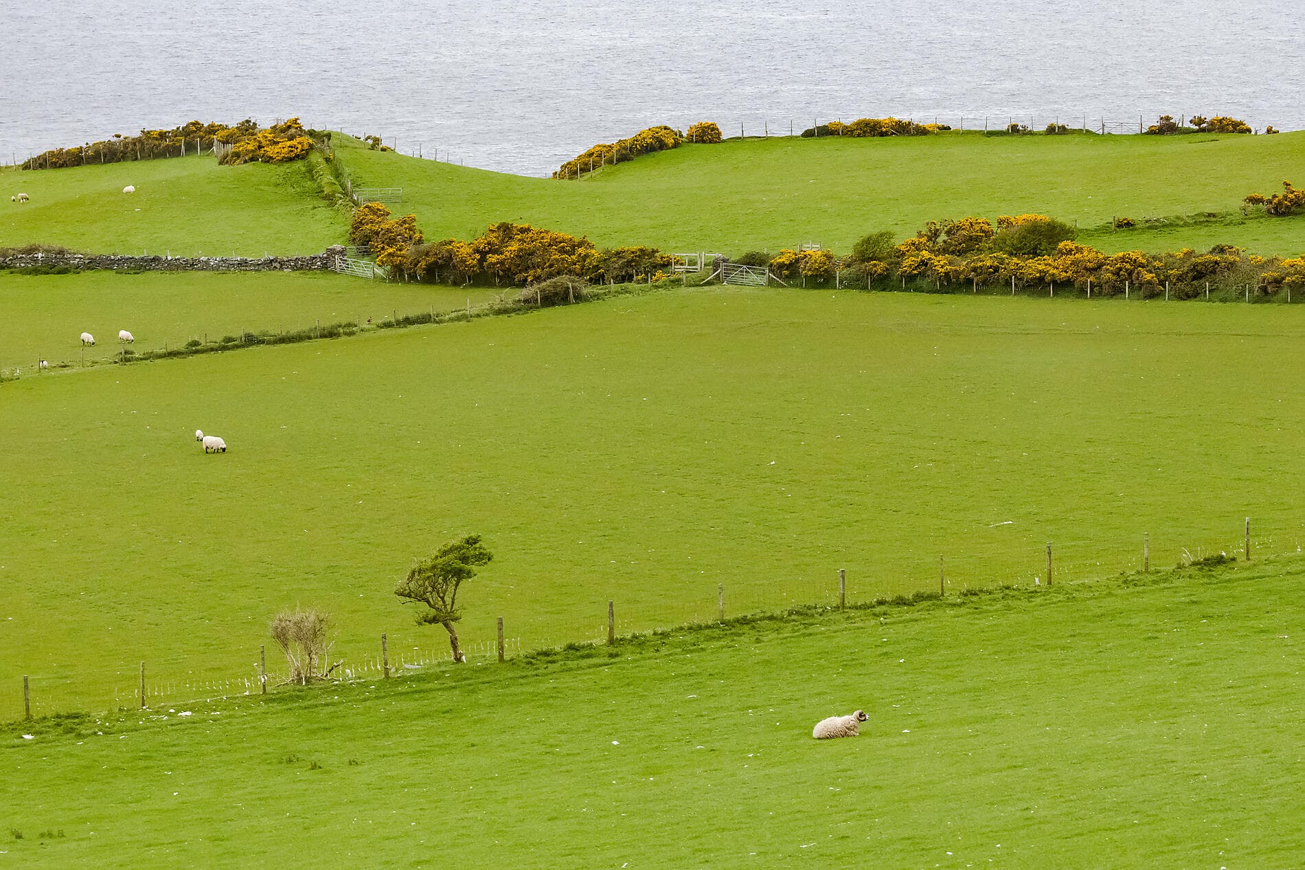 In keltischen Gefilden, von Irland nach Schottland