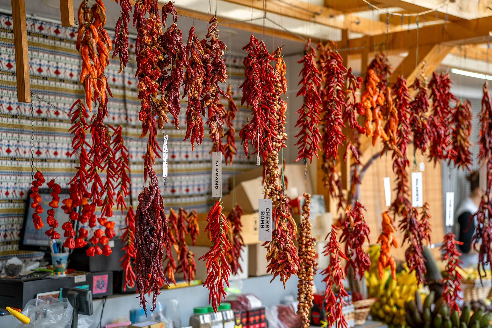 Madeira und die Azoren