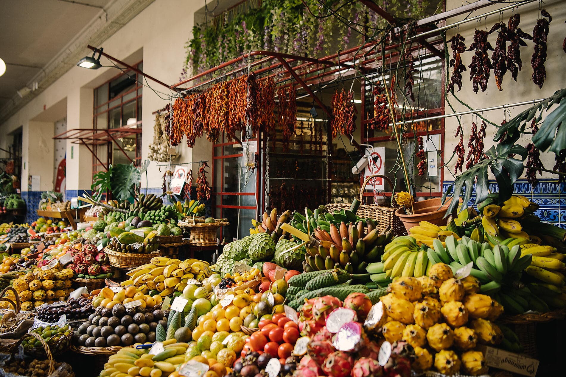 Madeira und die Azoren