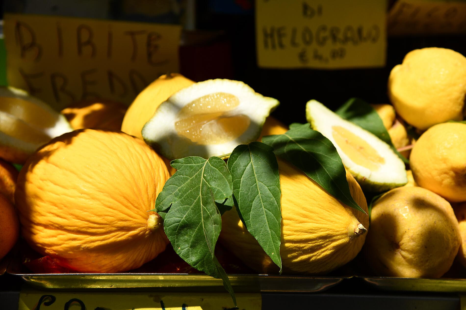 Unterwegs im Mittelmeer auf den Spuren großer Zivilisationen